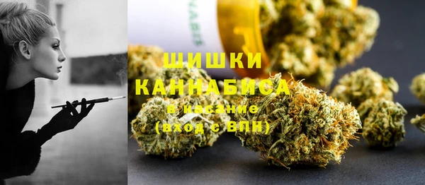 прущие крисы Абаза