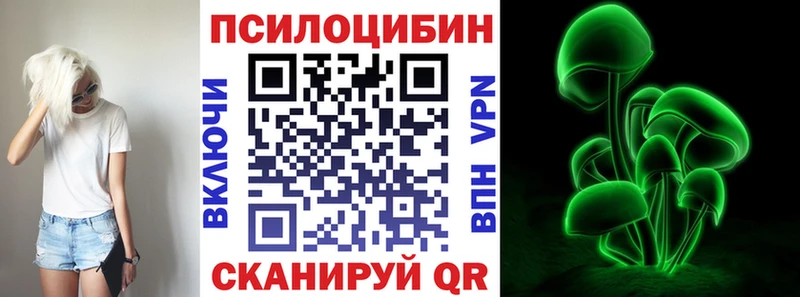 закладка  Заводоуковск  Псилоцибиновые грибы прущие грибы 