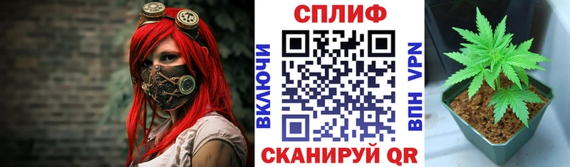 Конопля Amnesia  как найти   Заводоуковск 